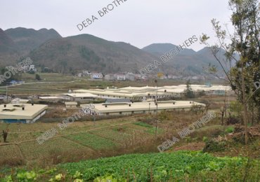 四川猪场
